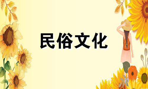 难道诗竹封空注定不会有孩子吗？石竹空的死对于他的儿子来说必然是一种损失吗？
