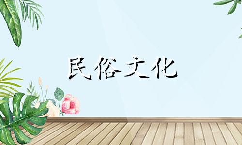 每日专栏和每小时专栏会一样吗？