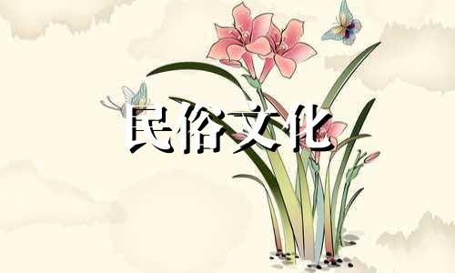 日珠皮马是什么意思？如何化解日珠皮马？