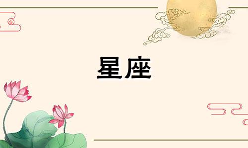 摩羯座和水瓶座合拍指数