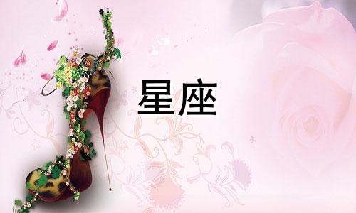 浴血黑帮男主角女性星座分析 陶白白天蝎座女性星座分析、陶白白天蝎座女性星座