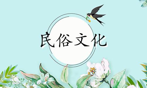  12生肖信息 水生肖分析图