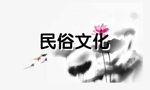 猫和老鼠人物星座分析及猫和老鼠游戏讨论