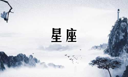 水瓶座和摩羯座的兼容性指数