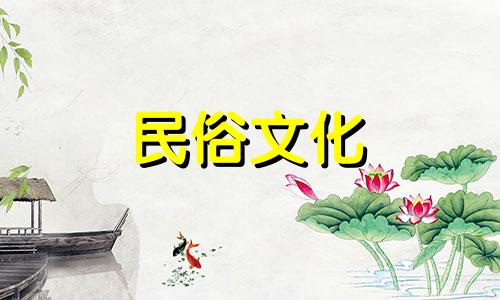 张婉婷的星座分析视频播放最详细的12生肖分析,12生肖的所有分析信息