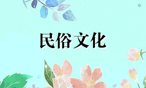 给一个有星座分析师水平的女孩当数据分析师怎么样?