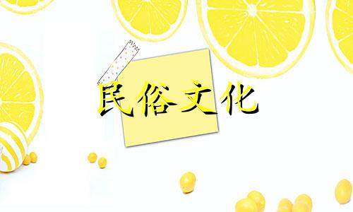 最聪明十二生肖的逻辑分析 12生肖男人的逻辑分析算法