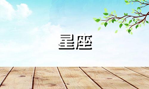 香港小姐星座分析专辑 周海媚是什么生肖，周海媚个人资料