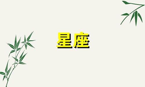 上升处女座的对宫星座