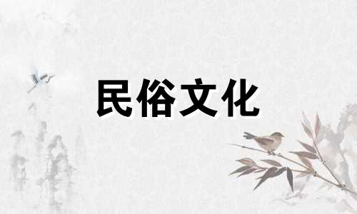 王泽南是什么生肖(王泽南鼓手生肖分析图高清)