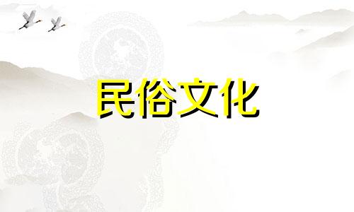  exo 12名成员简介 金珉锡生肖分析表