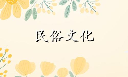 哪个星座的分析能力最强?