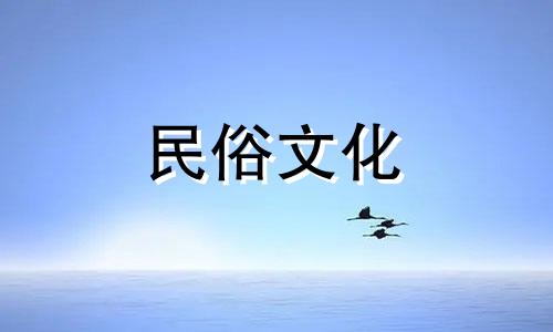 辛巳日珠2023年运势详解：姻缘大吉