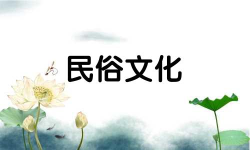 2023年的兔宝宝是什么？生活中缺少什么？