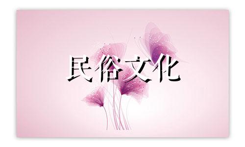 十二生肖2022年运势如何分析 运势分析视频