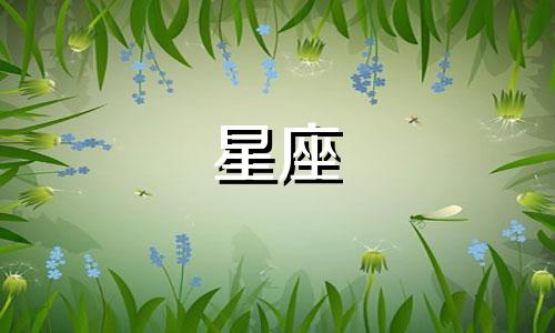 风向星座的逻辑分析方法有哪些 什么是风向星座