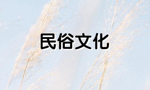 古城和谢野也许拥有世间最纯粹的爱情,但它只存在于我们的心底 古城和谢野的星座分析