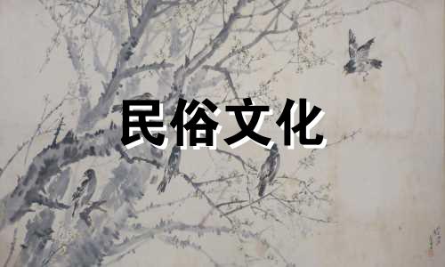 为什么星座运势这么准？陶白白为什么这么准？  陶白白的八字分析原理是什么