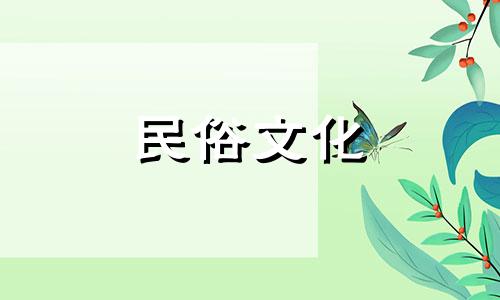 哪里可以查陶白白每周星座运势以及如何查看每日星座运势 如何找到陶白白的星座运势分析