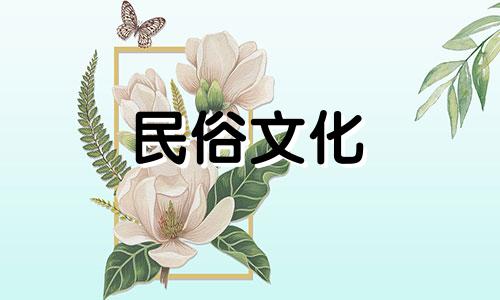 更准确的星座分析app，寻找最准确的星座分析网站 十二生肖分析五官软件app