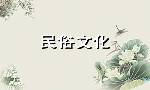 如何解读星图中的宫位和星座 魏大勋的星象分析图