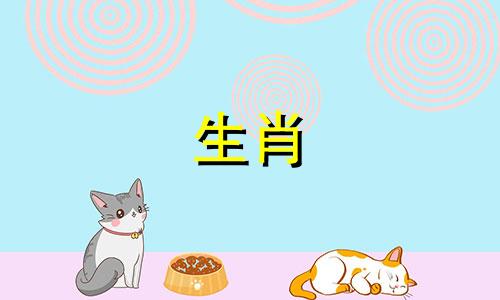 兔年出生的人2024年10月运势平稳，积极进取。