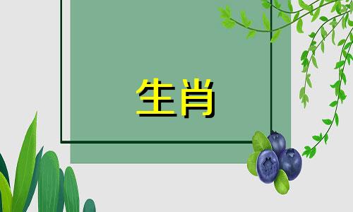 属鼠人2024年10月财务规划和投资规划