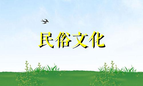 长角甲虫是什么动物？十二生肖 天牛代表什么生肖？