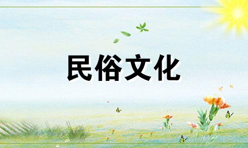 佟丽娅的八字事业运势分析 佟丽娅的面相分析