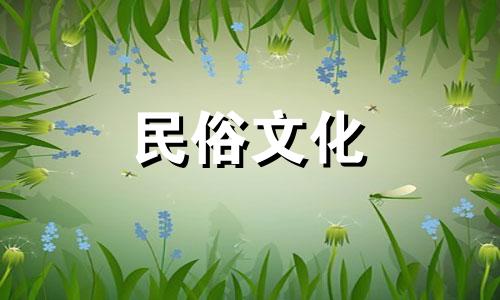 哪些生肖动物与生肖鼠是好朋友？和哪些星座最适合合作呢？