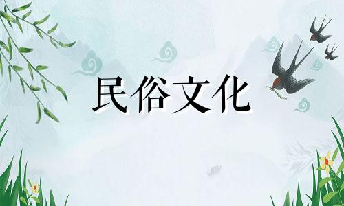 鼠年出生的人最忌讳的三个生肖，以及鼠年出生的人最害怕的三个生肖 属鼠的生肖动物有悲伤的关系