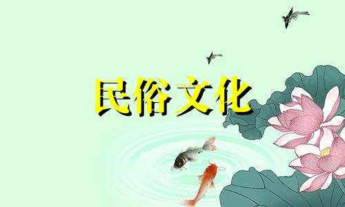 张凯丽2015生肖春节联欢晚会节目单