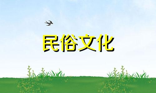 属鼠的生肖是什么年份? 生肖鼠的生肖年份是什么?
