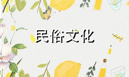 野生生肖是什么生肖？野生的生肖有哪些？
