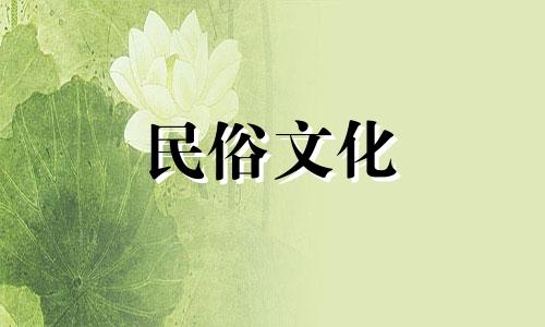 脑筋急转弯：母鸡下蛋，她脸红猜十二生肖 母鸡下蛋是十二生肖还是十二生肖