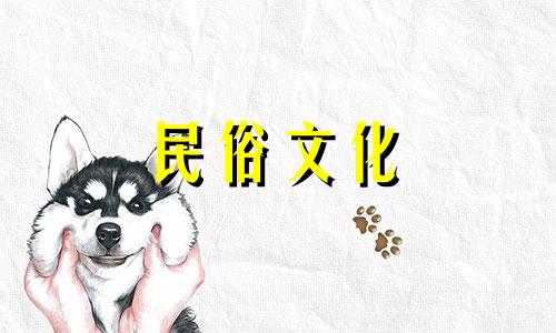 生肖羊的女人适合结婚什么生肖，生肖羊的女孩适合结婚什么生肖 生肖与生肖羊成三角形的女孩