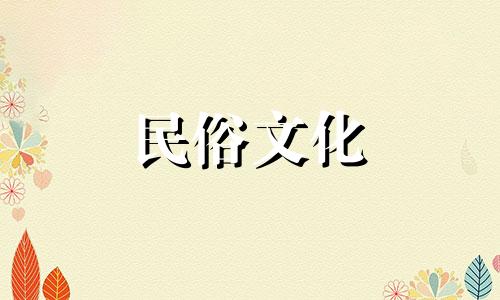 龙与猪的最佳姻缘。黄道带标志。龙与猪的婚姻。