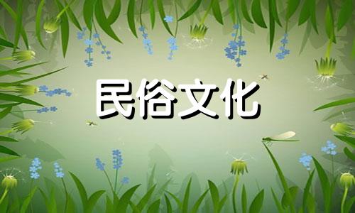 孤儿和寡妇指的是什么生肖？  孤儿和丧母指什么生肖？