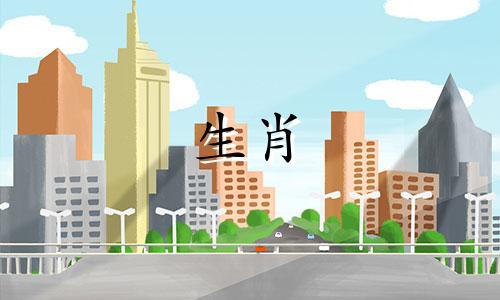 金秋手机生肖视频简介 如何快速计算生肖