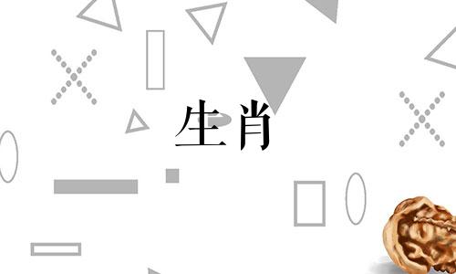 十二生肖动物家族有哪些 动物属于哪些家族