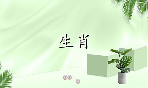 男人适合和哪个星座结婚? 男人适合和什么星座结婚?