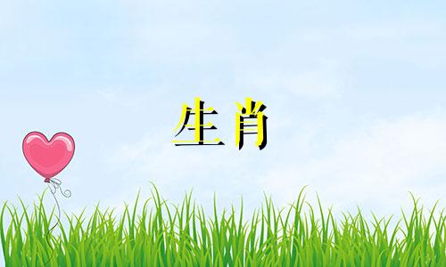  12生肖配对图 十二生肖最佳婚姻图