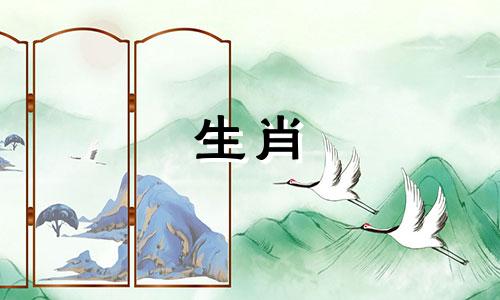 龙猴与财相配，女性属相是 龙与什么生肖相合，龙女与哪个生肖最相配