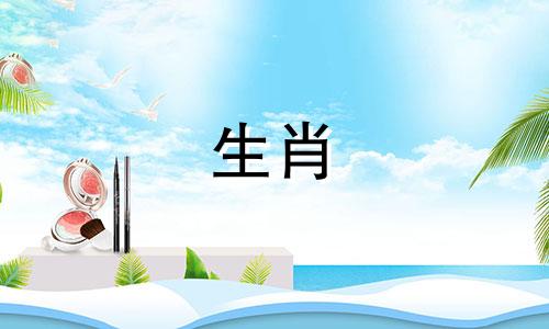 哪些生肖适合属猪的孩子呢？