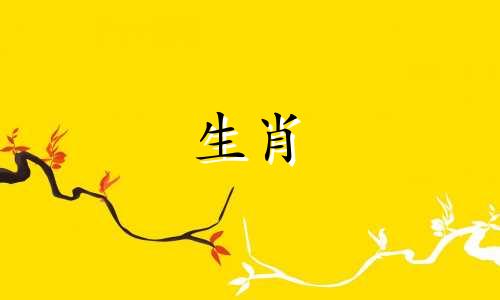 19岁的人是什么星座? 十二生肖年龄对照表查询,十二生肖年龄对照表