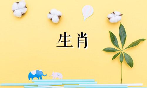 属龙的人适合什么生肖？  属龙和属龙什么生肖最配