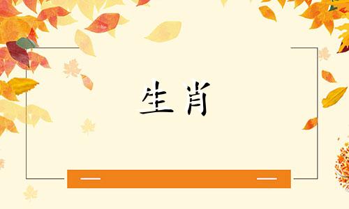 代表多个生肖的同事简介 同事之间生肖冲突如何解决