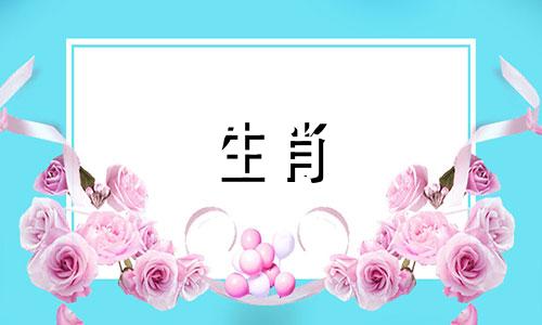 选择新的生肖与不同的生肖 如果你的命运不同，选择12生肖之一