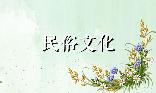 十二生肖龙最适合配偶的生肖