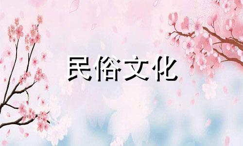 十二生肖中哪个生肖穿花衣服？